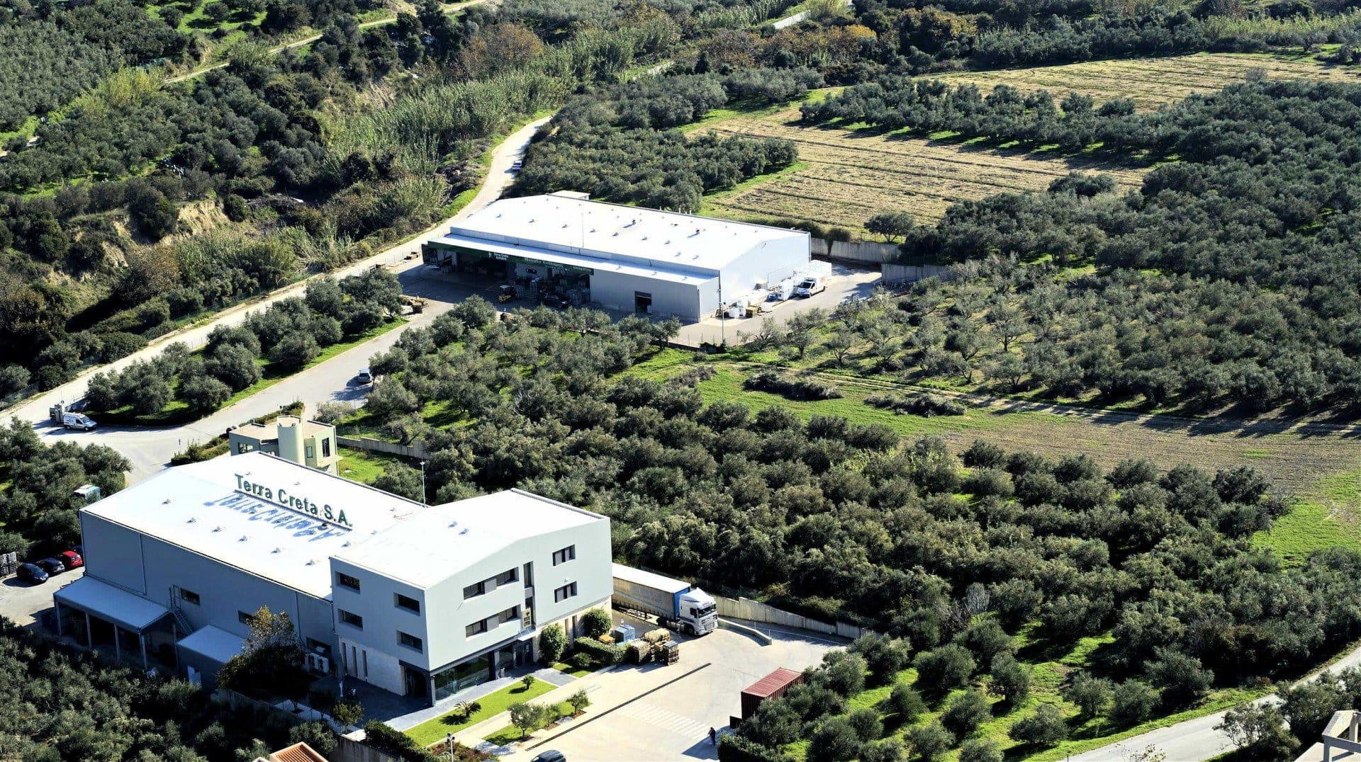 profiles-production-the-best-olive-oils-the-cretan-producer-who-leaves-nothing-to-chance-olive-oil-times