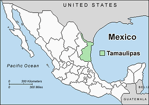 メキシコのタマウリパス州が最初のオリーブ油処理施設を計画 Olive Oil Times