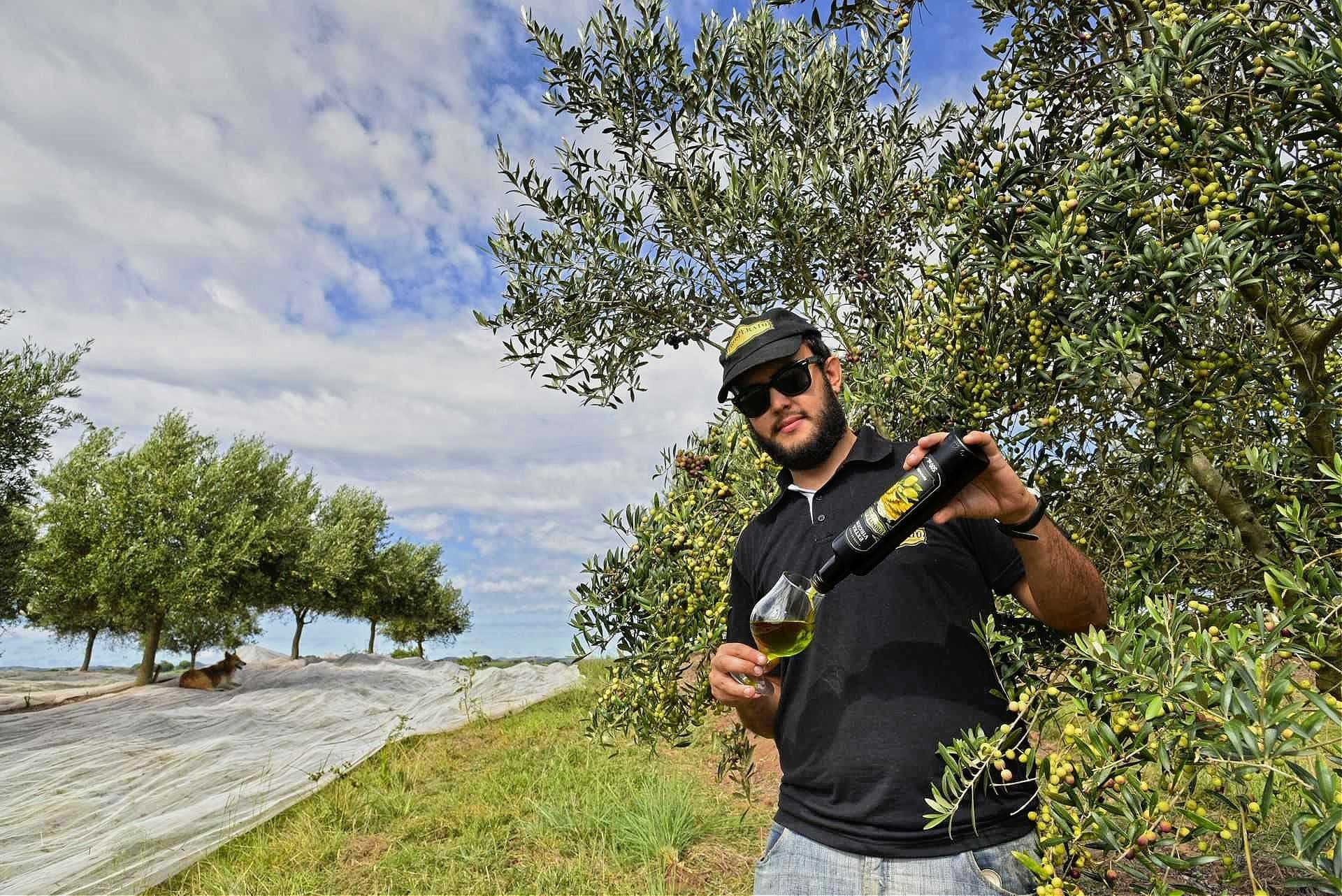 competitions-profiles-south-america-the-best-olive-oils-renewed-focus-on-quality-pays-off-for-brazilian-producers-at-2021-nyiooc-olive-oil-times