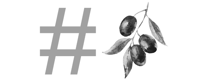 production-world-olive-harvest-gets-social-in-italy-olive-oil-times-olive-harvest-goes-social