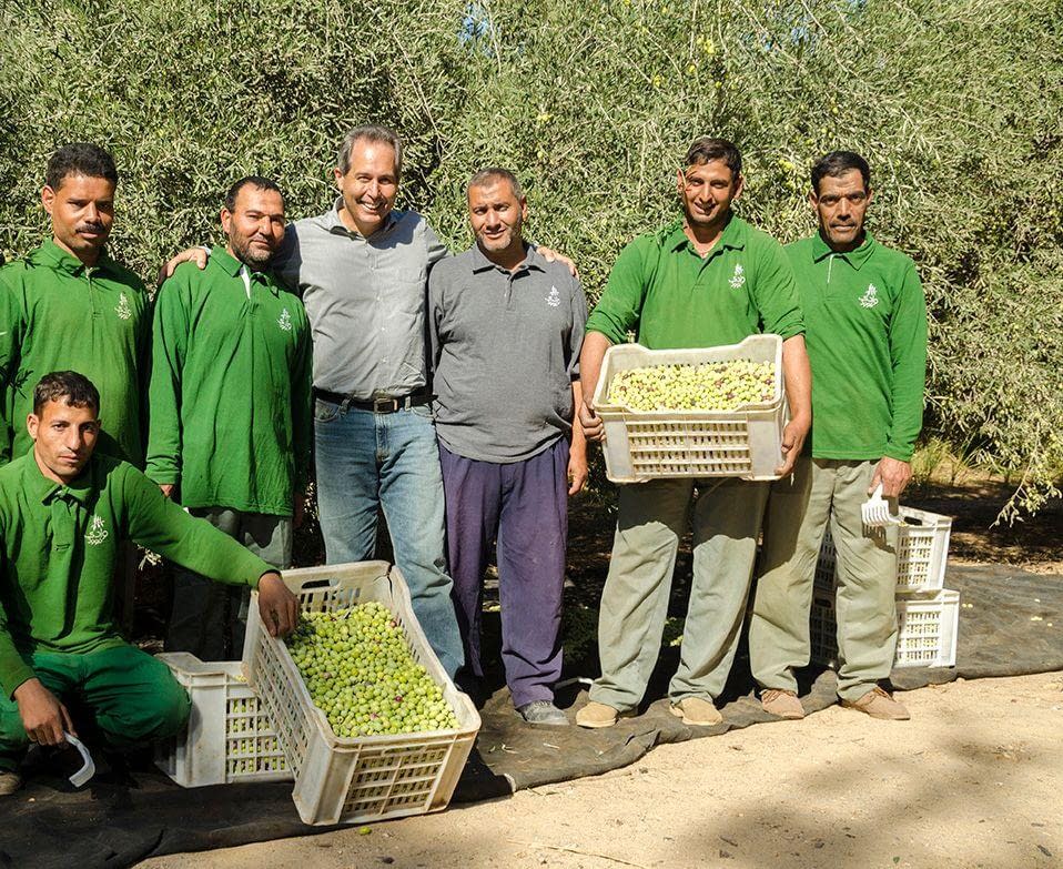 africa-middle-east-business-production-egypt-expects-lower-production-after-extreme-weather-damages-groves-olive-oil-times