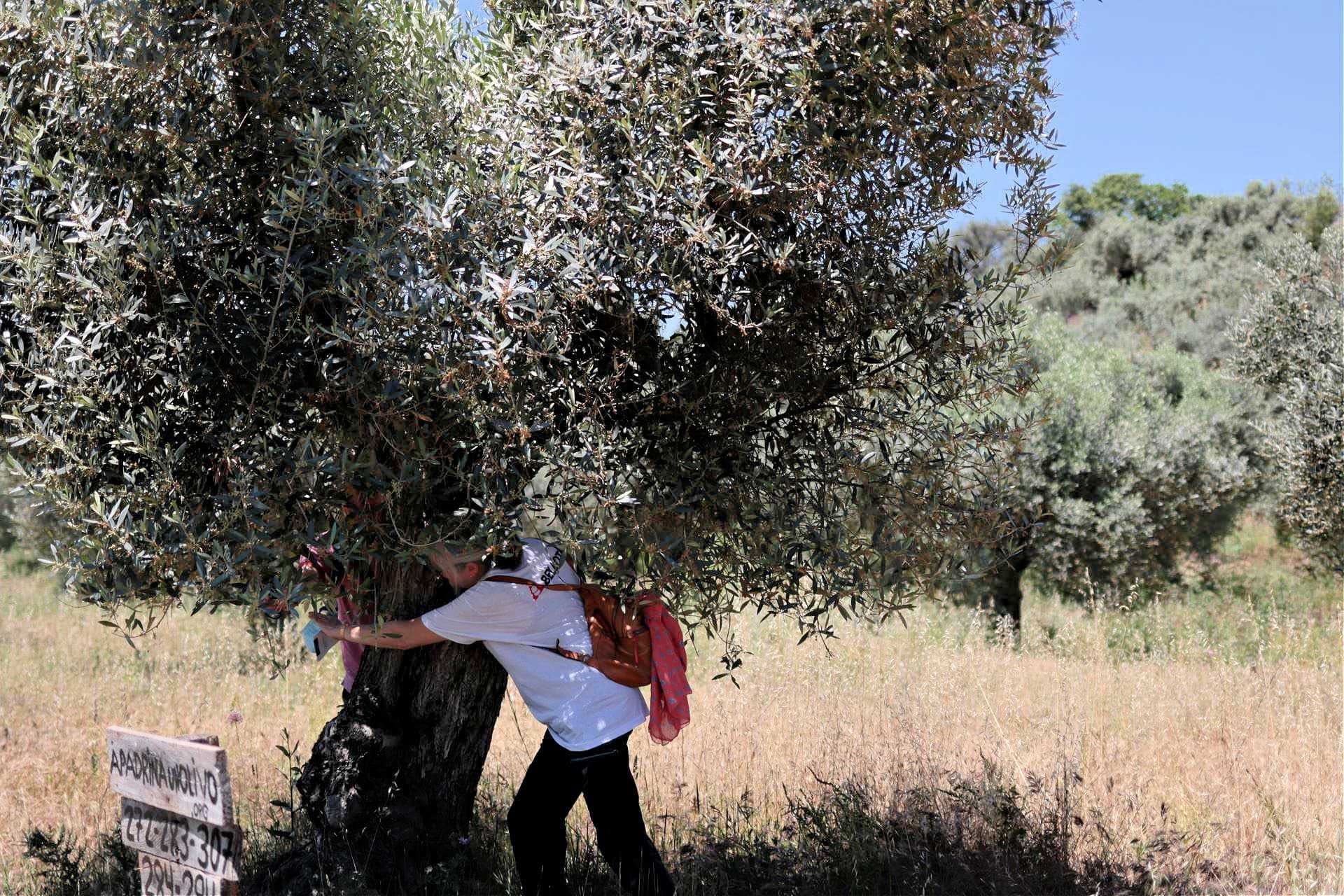 business-europe-production-world-olive-oil-times