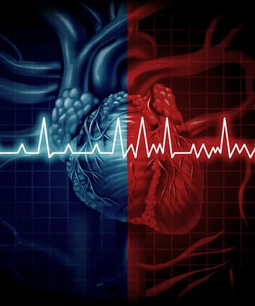 Tüm ölümlerin yüzde 40'ından kalp ve damar hastalıkları sorumlu! - Sağlık Haberleri