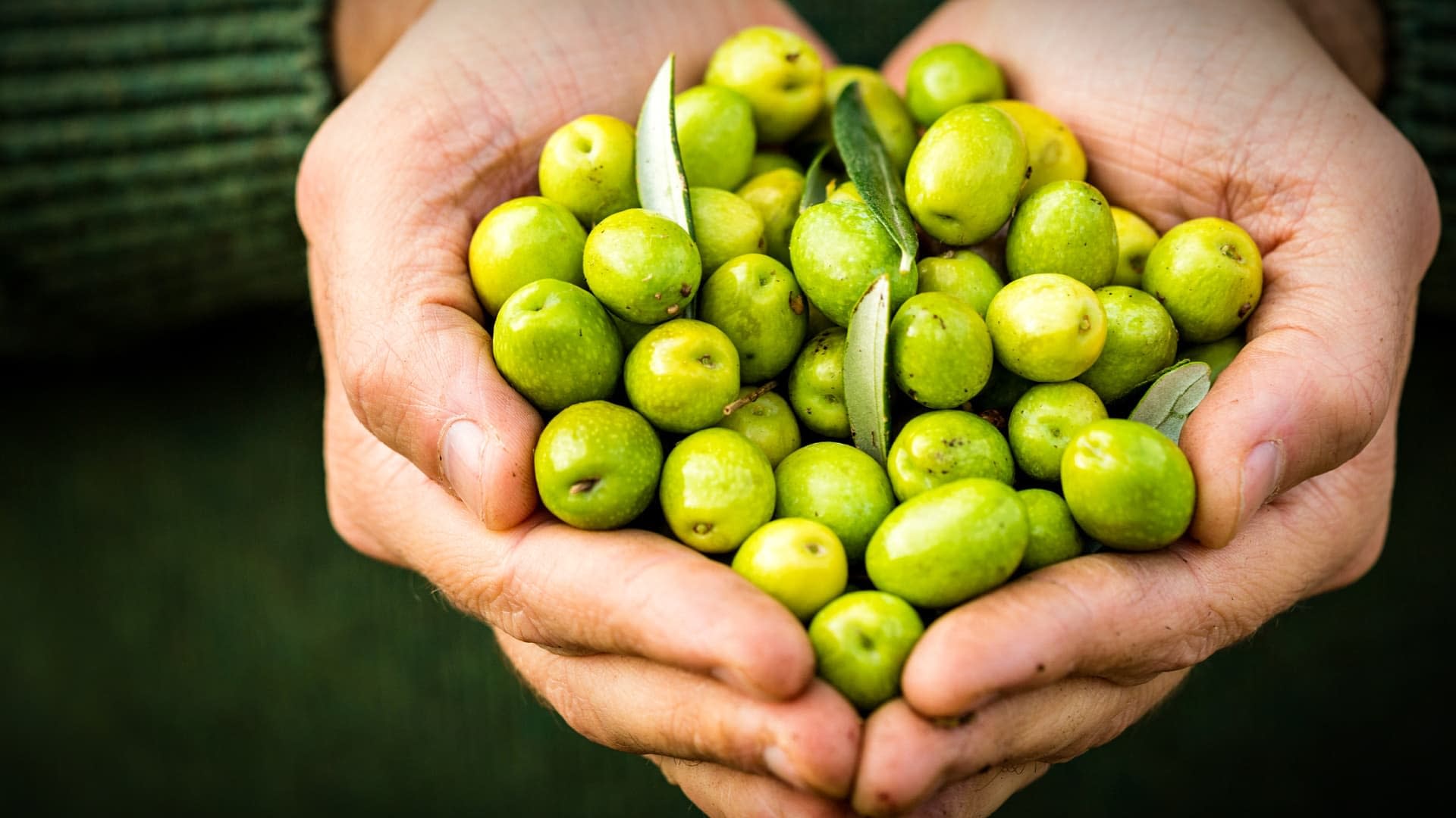 What Are Polyphenols and Why Do You Care? Alzheimer Care Management