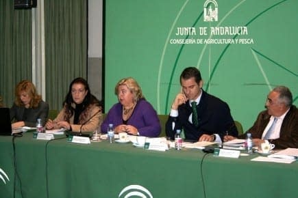 world-andalusia-announces-working-group-on-olive-oil-quality-standards-olive-oil-times-reuninconsectorolecola2