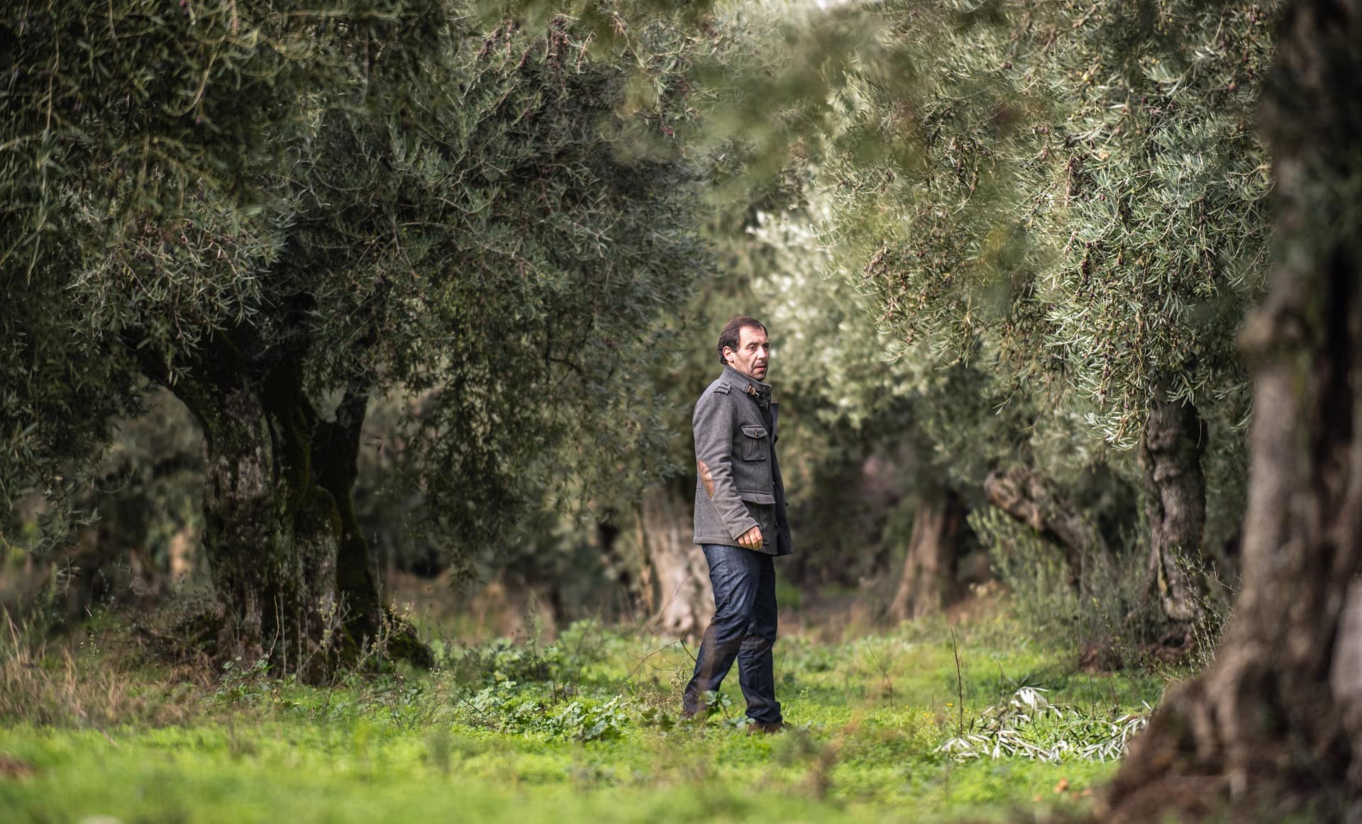 europe-competitions-production-the-best-olive-oils-portuguese-producers-reap-benefits-of-record-harvest-at-world-competition-olive-oil-times