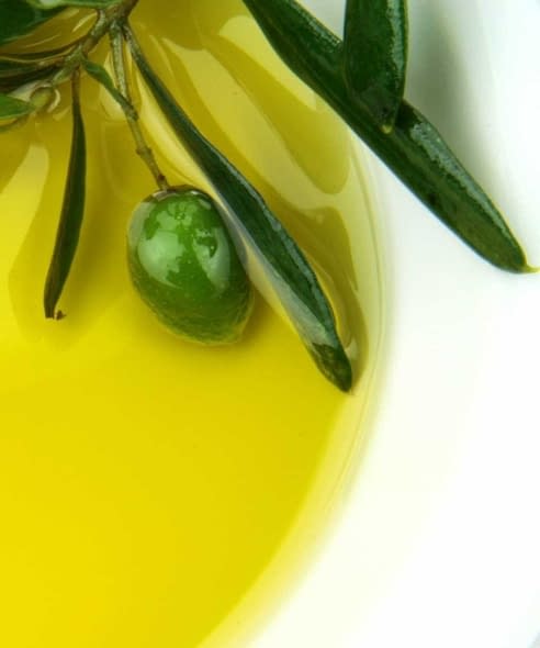 Olive Oil Health News Olive Oil Times