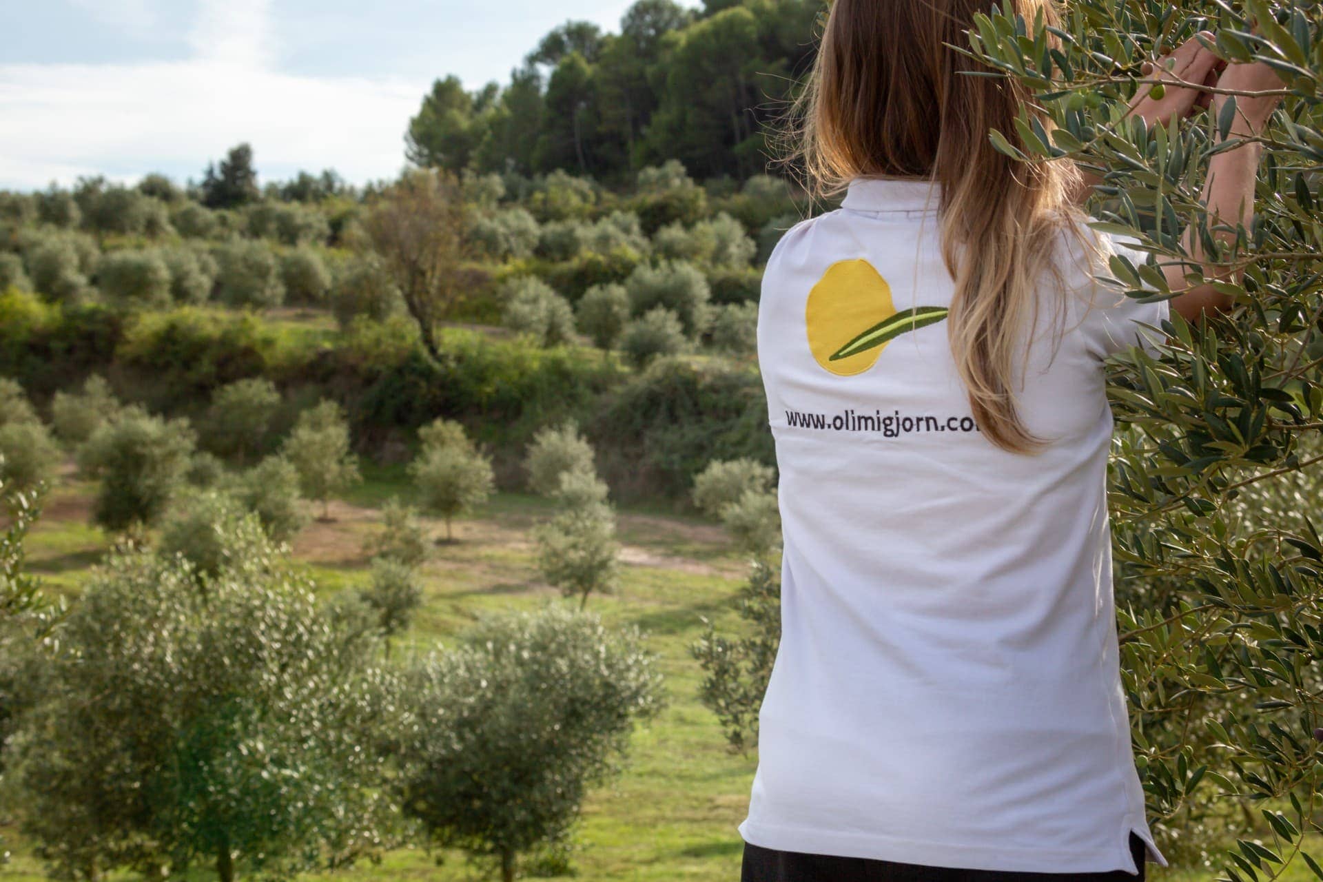 europe-competitions-production-the-best-olive-oils-spanish-producers-achieve-record-success-at-world-competition-olive-oil-times