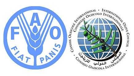 business-united-nations-field-reports-to-improve-olive-council-forecasts-olive-oil-times-united-nations-field-reports-to-improve-olive-council-forecasts