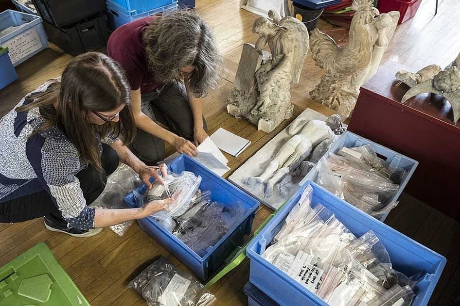 Les Scientifiques Decouvrent Les Premieres Preuves De La Presence D Huile D Olive En Europe Centrale Olive Oil Times