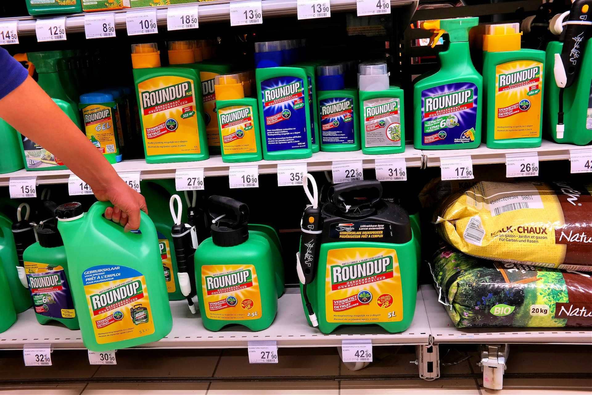 business-europe-glyphosate-controversy-continues-as-new-report-concludes-herbicide-is-not-carcinogenic-olive-oil-times