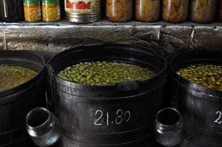 world-the-olive-merchant-olive-oil-times