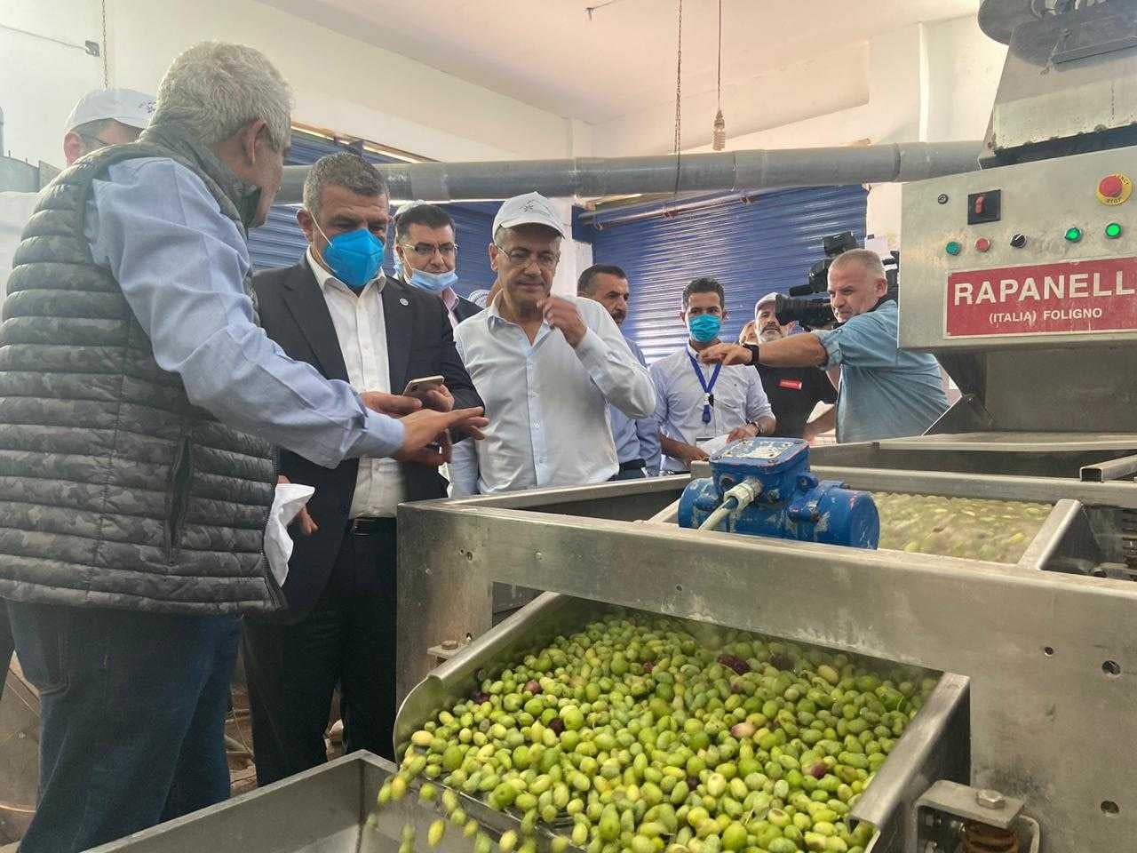 africa-middle-east-competitions-the-best-olive-oils-jordanian-producers-celebrate-firstever-wins-at-world-olive-oil-competition-olive-oil-times