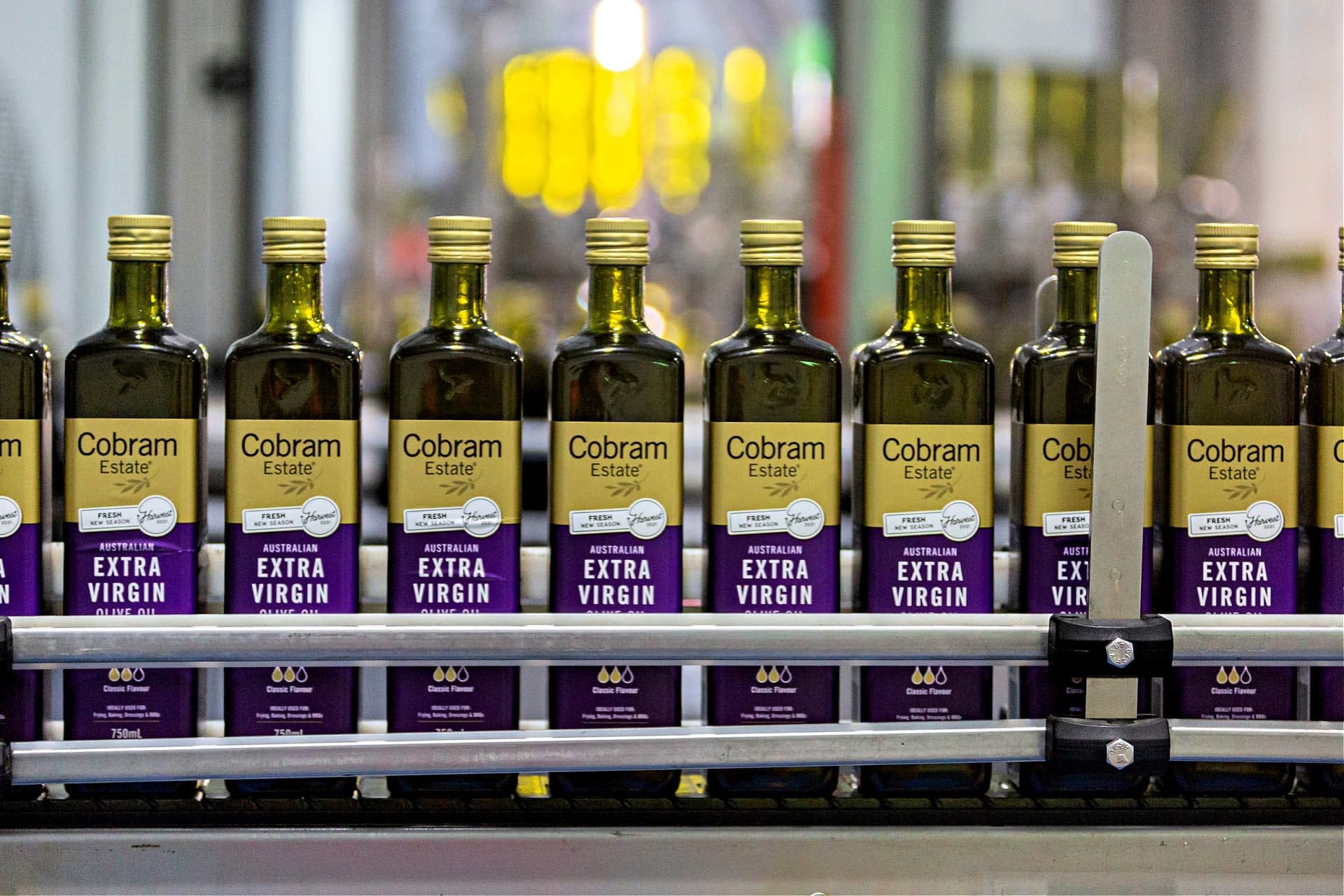 australia-and-new-zealand-business-production-olive-oil-times