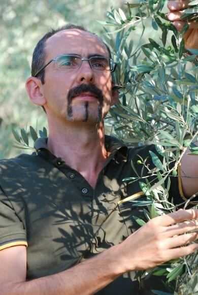 europe-organic-farming-high-quality-often-hand-in-hand-olive-oil-times