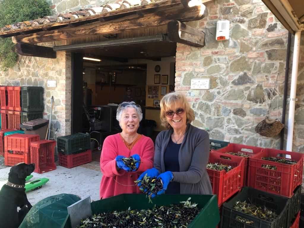 Two women holding a handful of olives while sorting them in a processing area. - Olive Oil Times