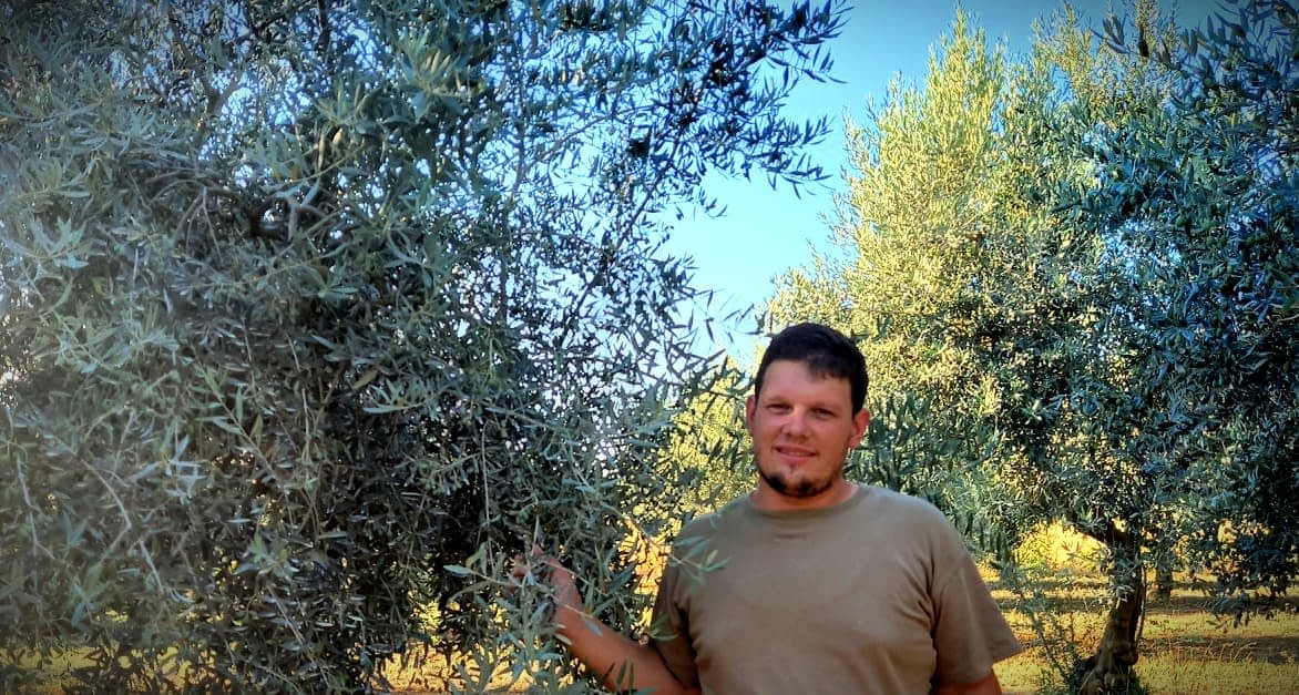 A man standing next to olive trees in an outdoor setting, with green foliage in the background. - Olive Oil Times