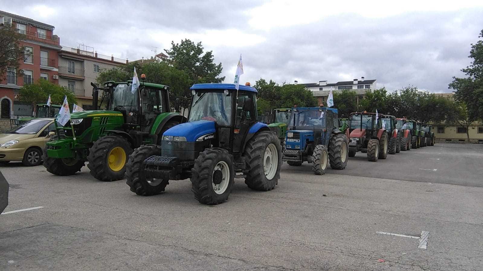 A row of agricultural tractors parked in a lot, featuring various colors and models. - Olive Oil Times