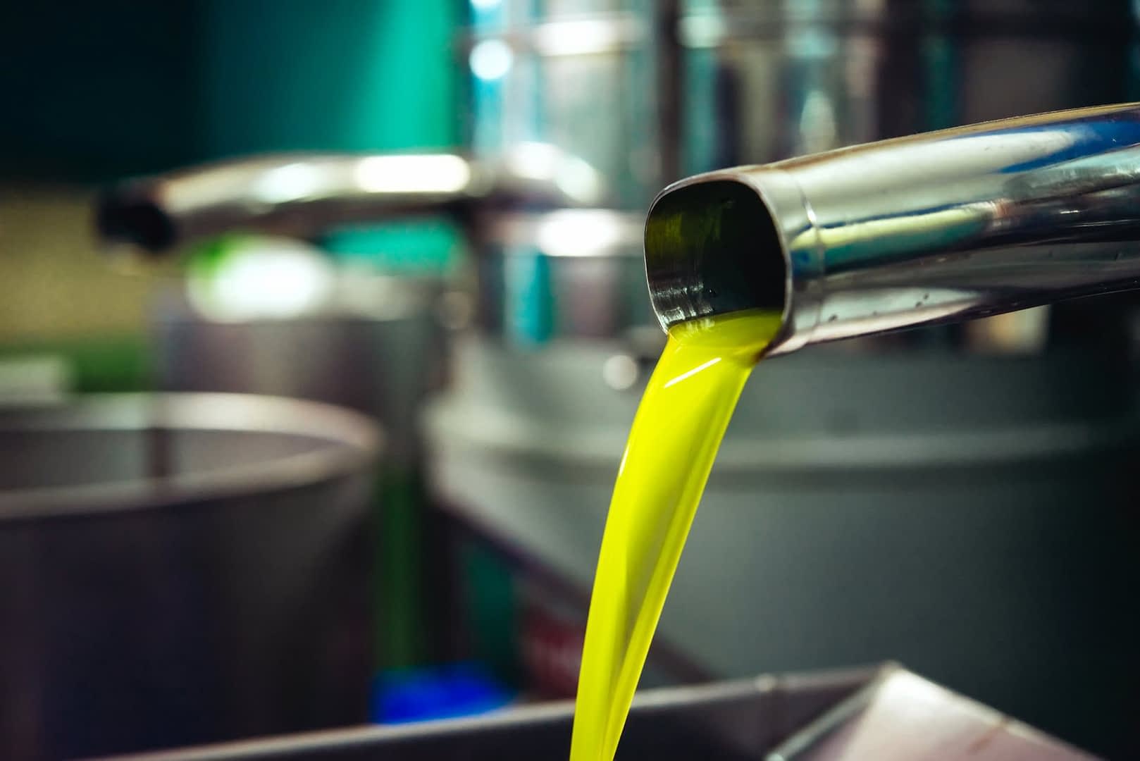 Huile d'olive fraîche versée d'un bec verseur en métal dans un récipient dans une usine de production. Olive Oil Times