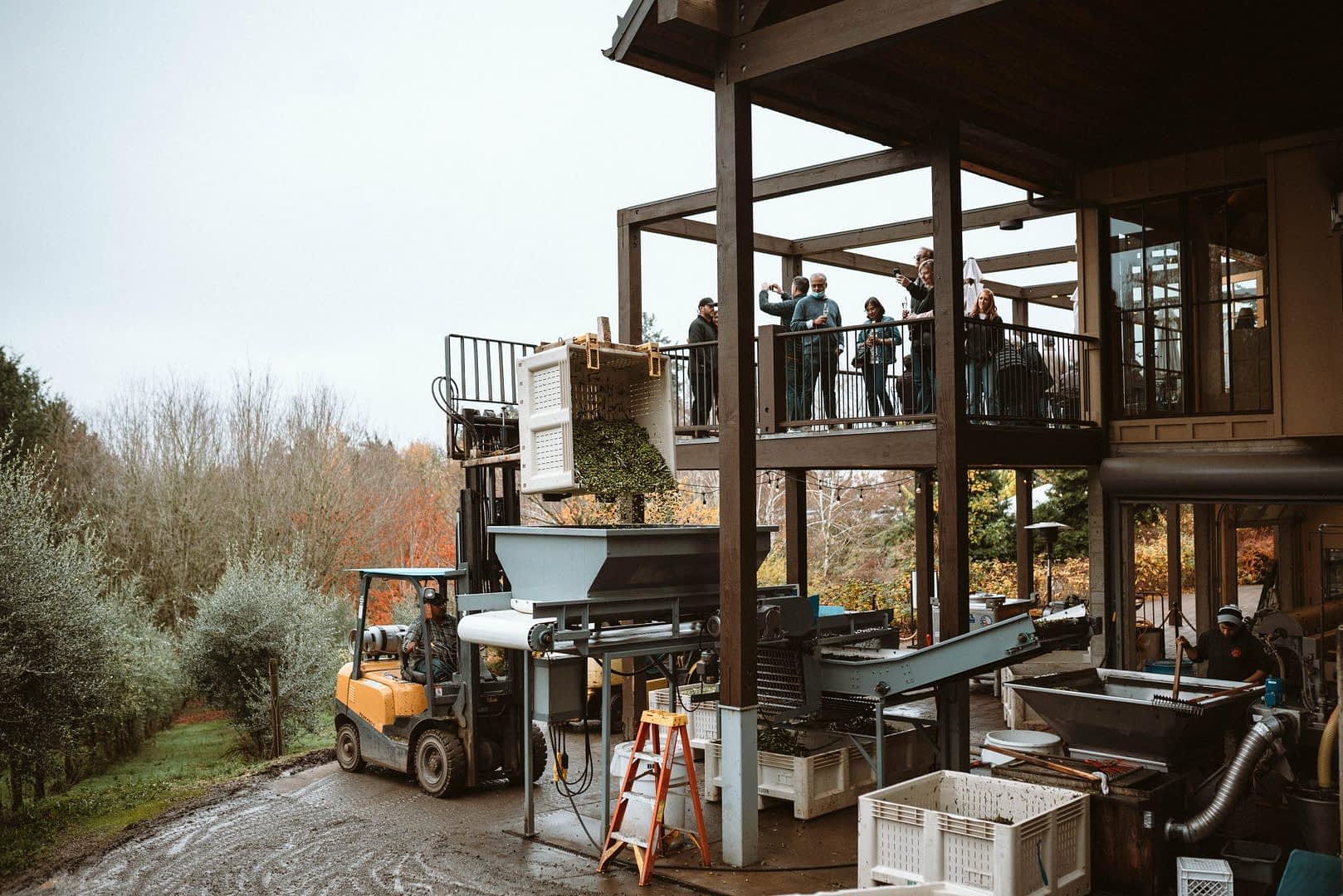Olive oil production equipment and workers at an outdoor facility with a balcony. - Olive Oil Times
