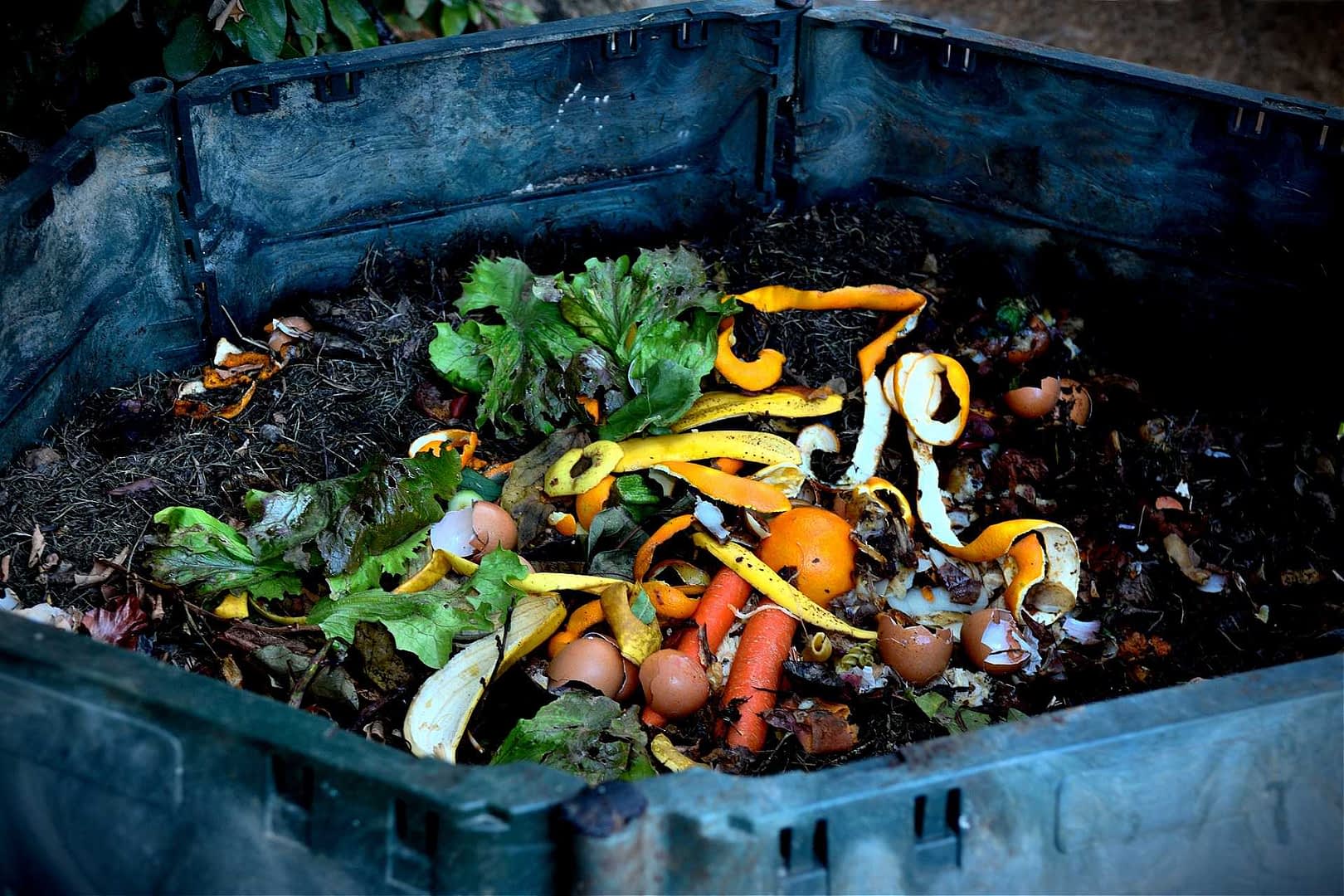Contenitore per il compost pieno di rifiuti organici, tra cui scarti vegetali e gusci d'uovo. Olive Oil Times
