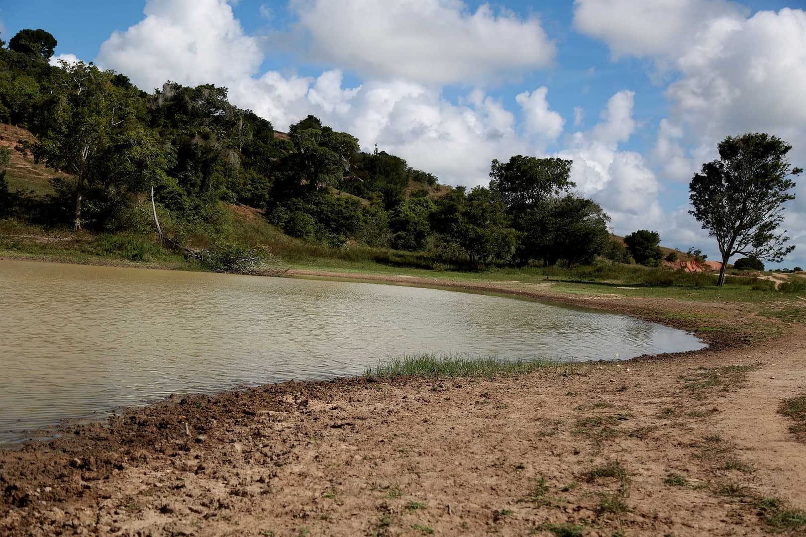 Uno specchio d'acqua tranquillo con una costa curva e vegetazione lungo le rive sotto un cielo nuvoloso. - Olive Oil Times