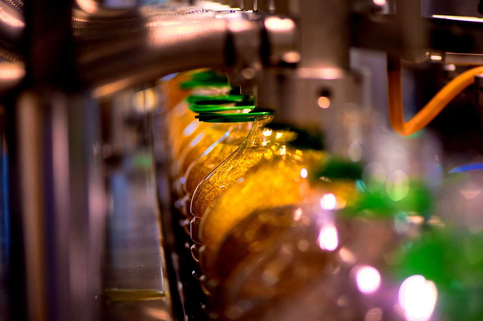 Row of bottles filled with oil on a production line with green caps. - Olive Oil Times
