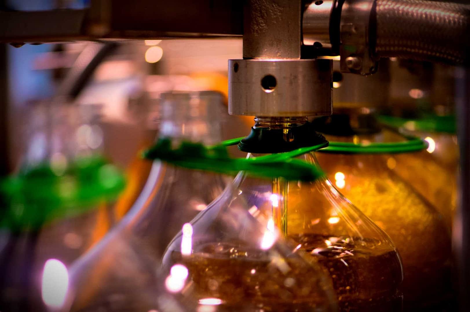 Bottiglie riempite con olio d'oliva in una linea di produzione con tappi verdi. - Olive Oil Times