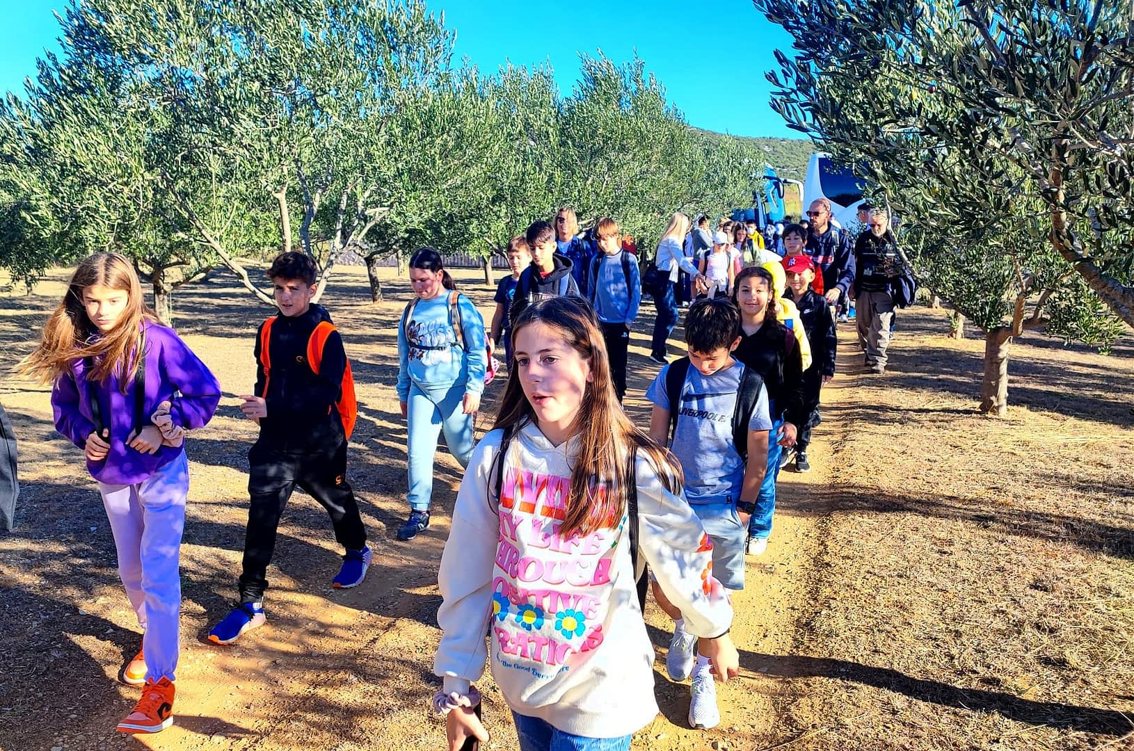 A group of children walking through an olive grove, wearing backpacks and casual clothing. - Olive Oil Times