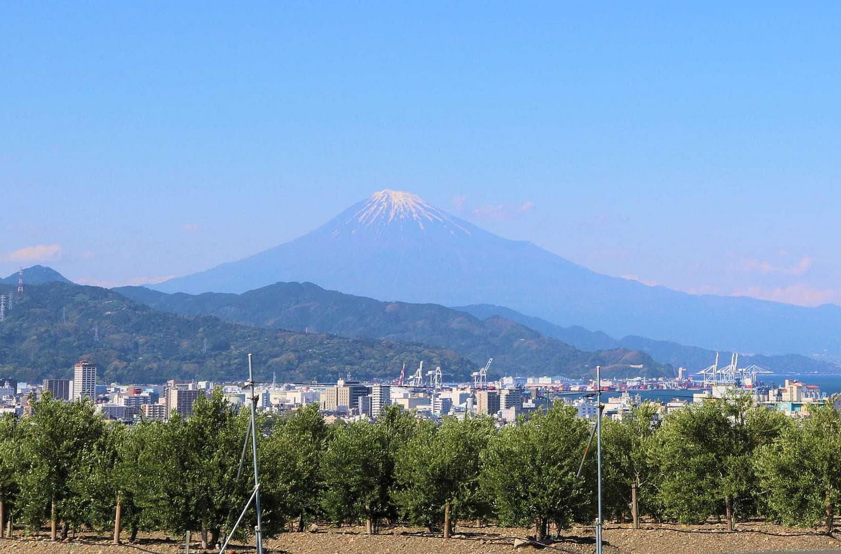Mount Fuji visible in the background with a cityscape and trees in the foreground. - Olive Oil Times