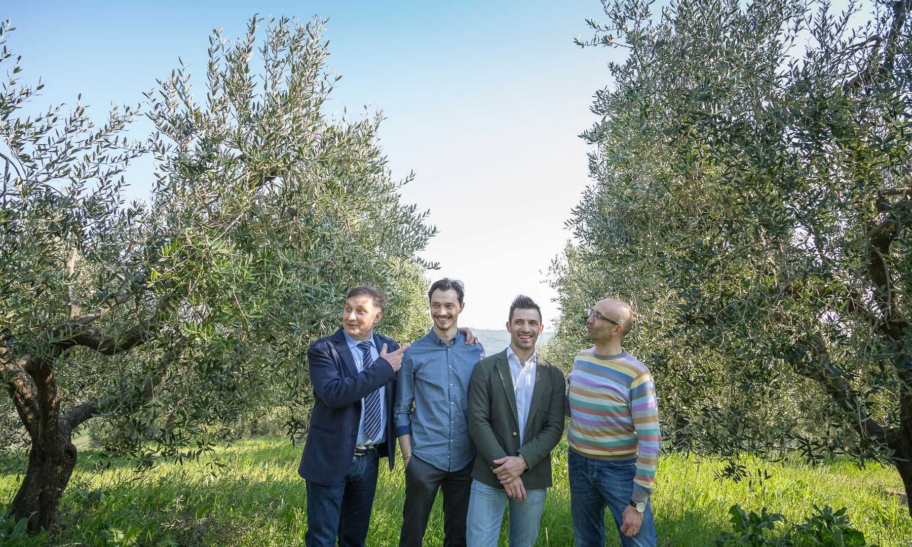 Štirje moški, ki stojijo skupaj v oljčnem nasadu z oljkami v ozadju. - Olive Oil Times