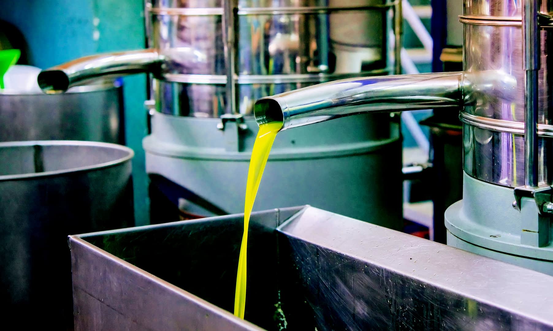 Flux d'huile d'olive verte s'écoulant d'un tuyau métallique dans un récipient en acier inoxydable pendant l'extraction. - Olive Oil Times