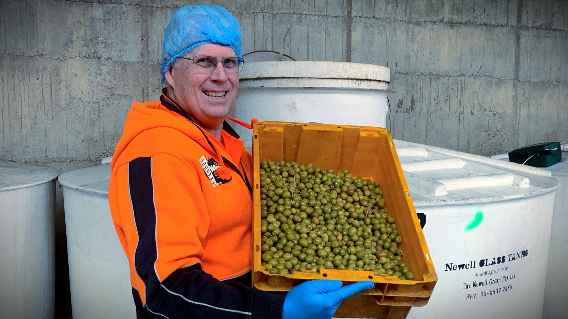 Australian Co. Debuts New Table Olive Production Method