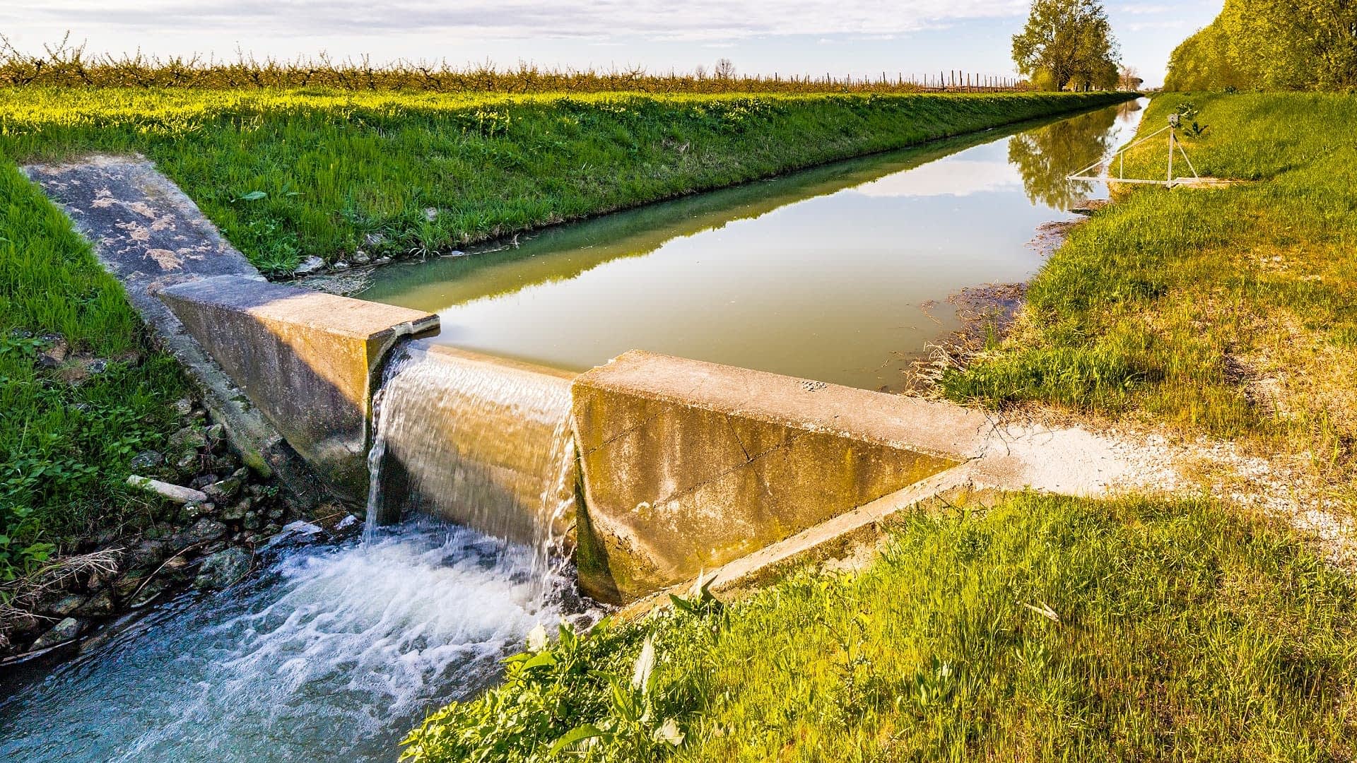 - Her iki tarafında yeşillikler bulunan bir kanalda su akışını yönlendiren beton yapı. Olive Oil Times