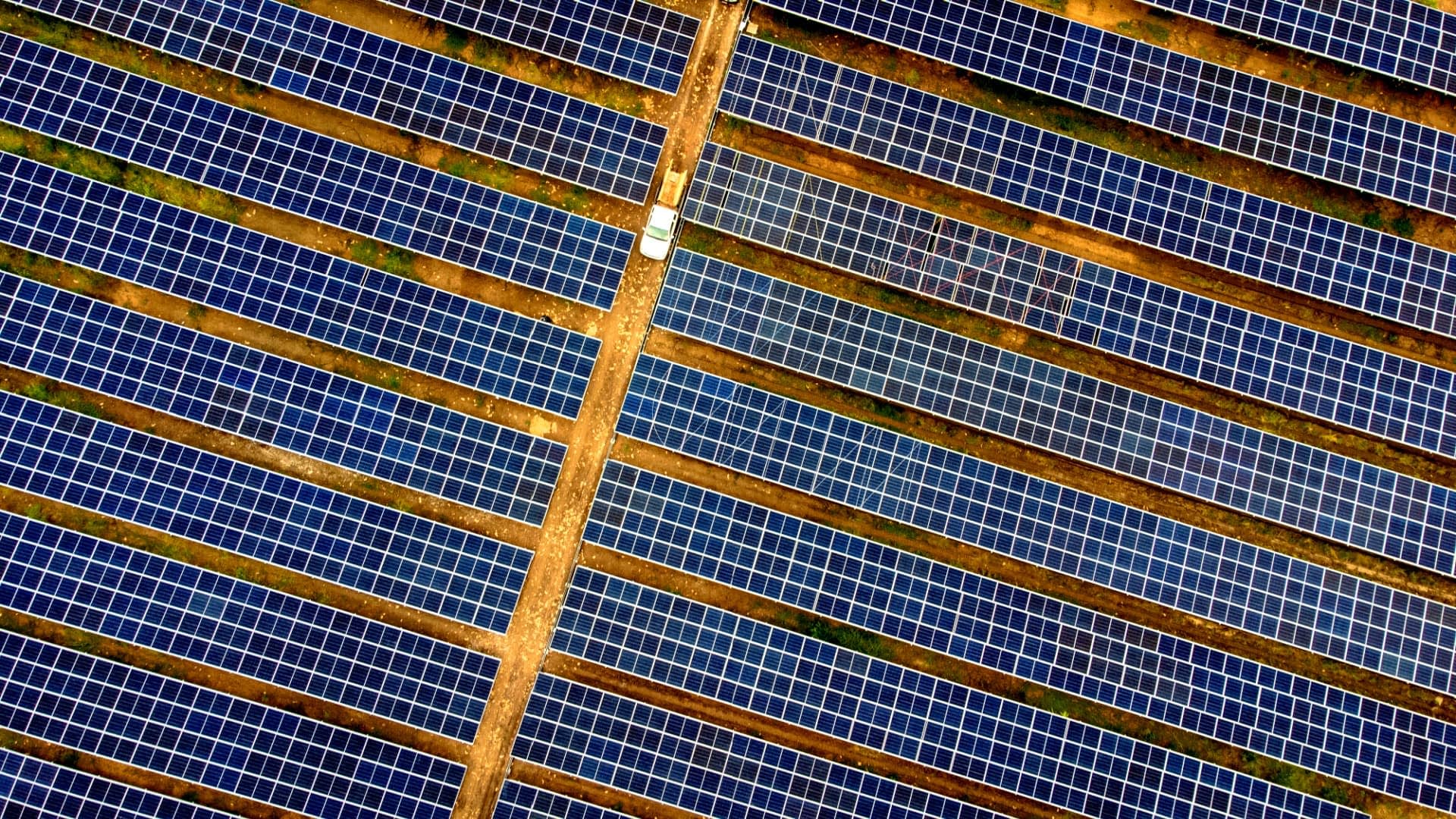 Debate Over Solar Plant Construction in Andalusian Olive Groves Intensifies
