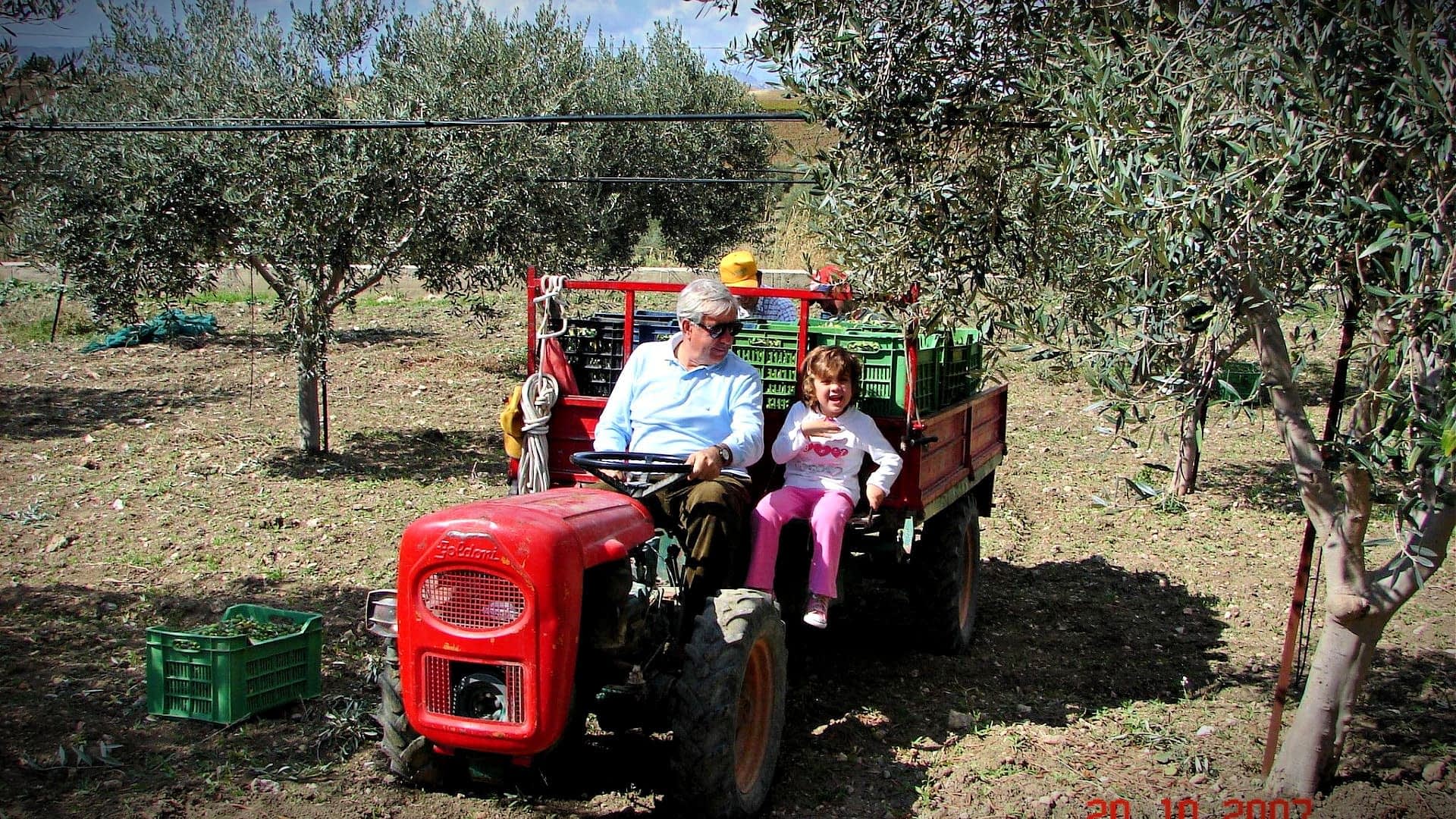 Een volwassene en een kind zitten op een rode tractor in een olijfgaard met bomen op de achtergrond. Olive Oil Times