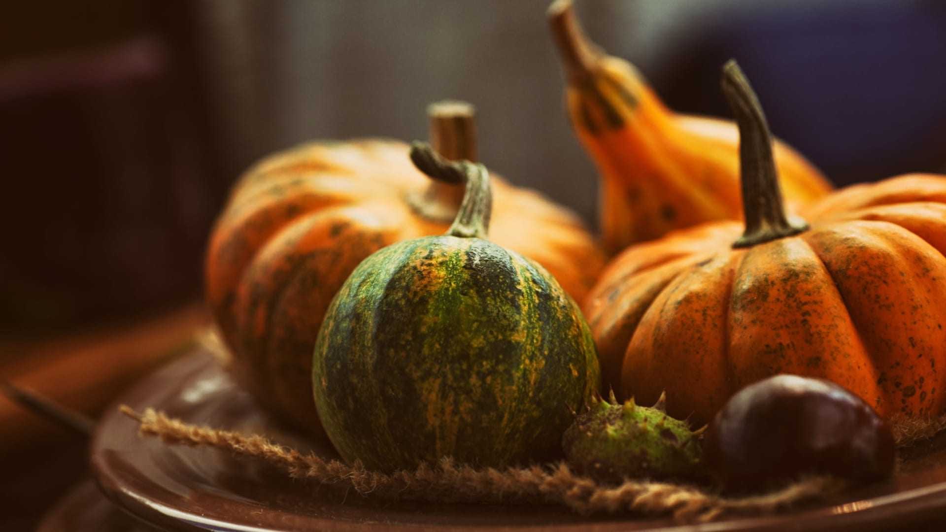 Verschiedene Deko-Kürbisse, darunter auch orange und grüne, auf einem Teller mit Naturfasern arrangiert. - Olive Oil Times