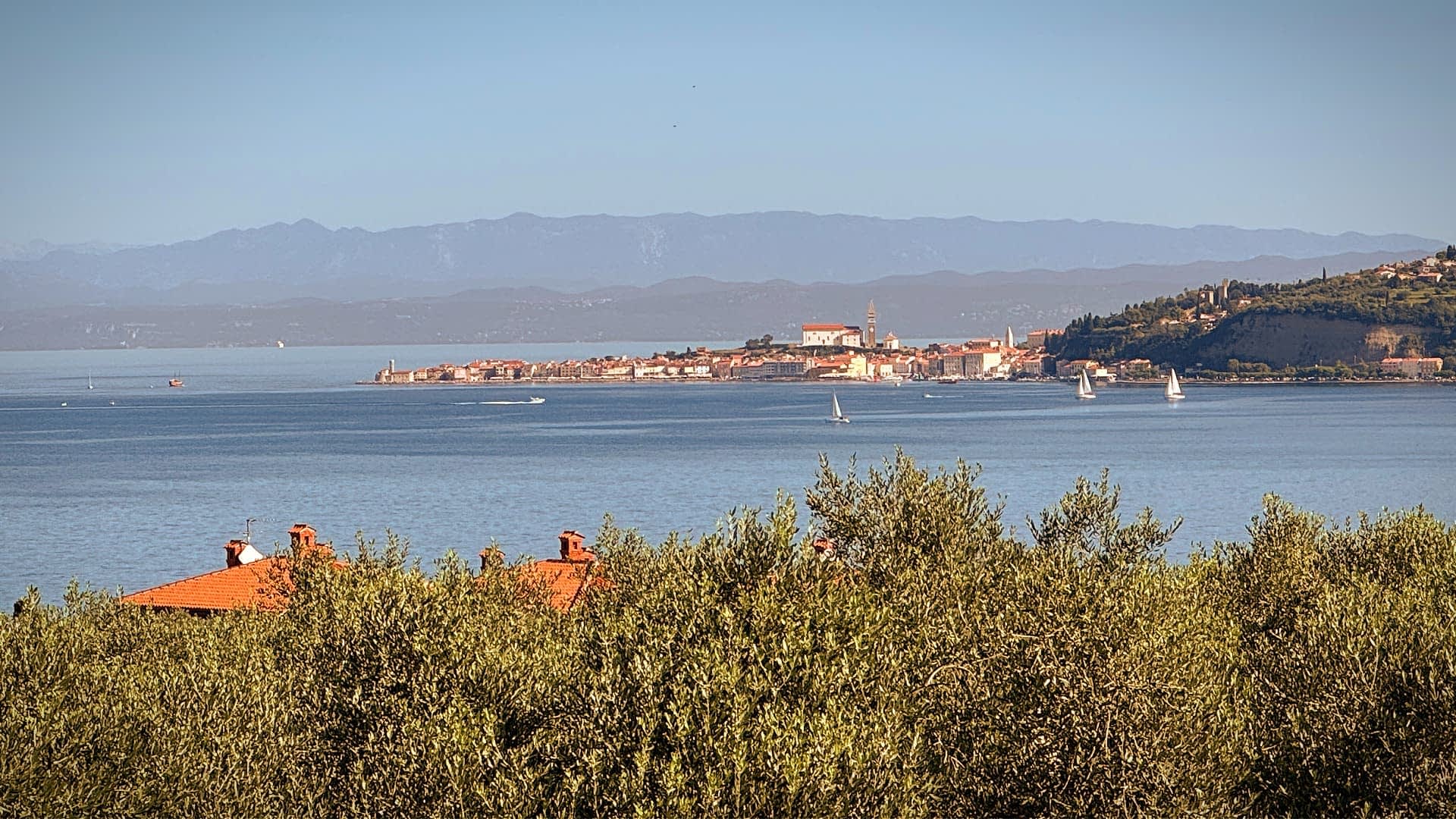 Monte Rosso: A Family Dream Reborn on Istria’s Red Hill