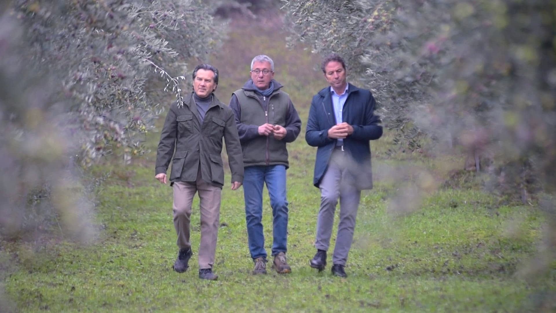 Diversification Drives Olitalia’s Global Success as Italy’s Olive Oil Sector Evolves
