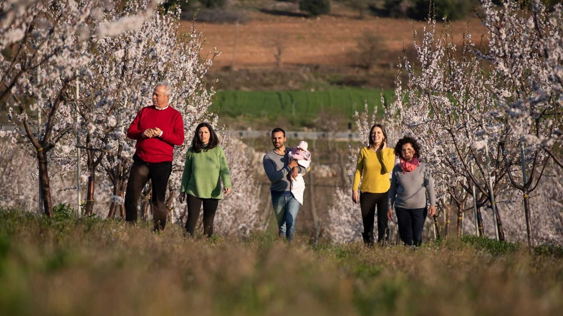 Groupe de six personnes marchant dans un verger fleuri avec des fleurs blanches sur les arbres. - Olive Oil Times
