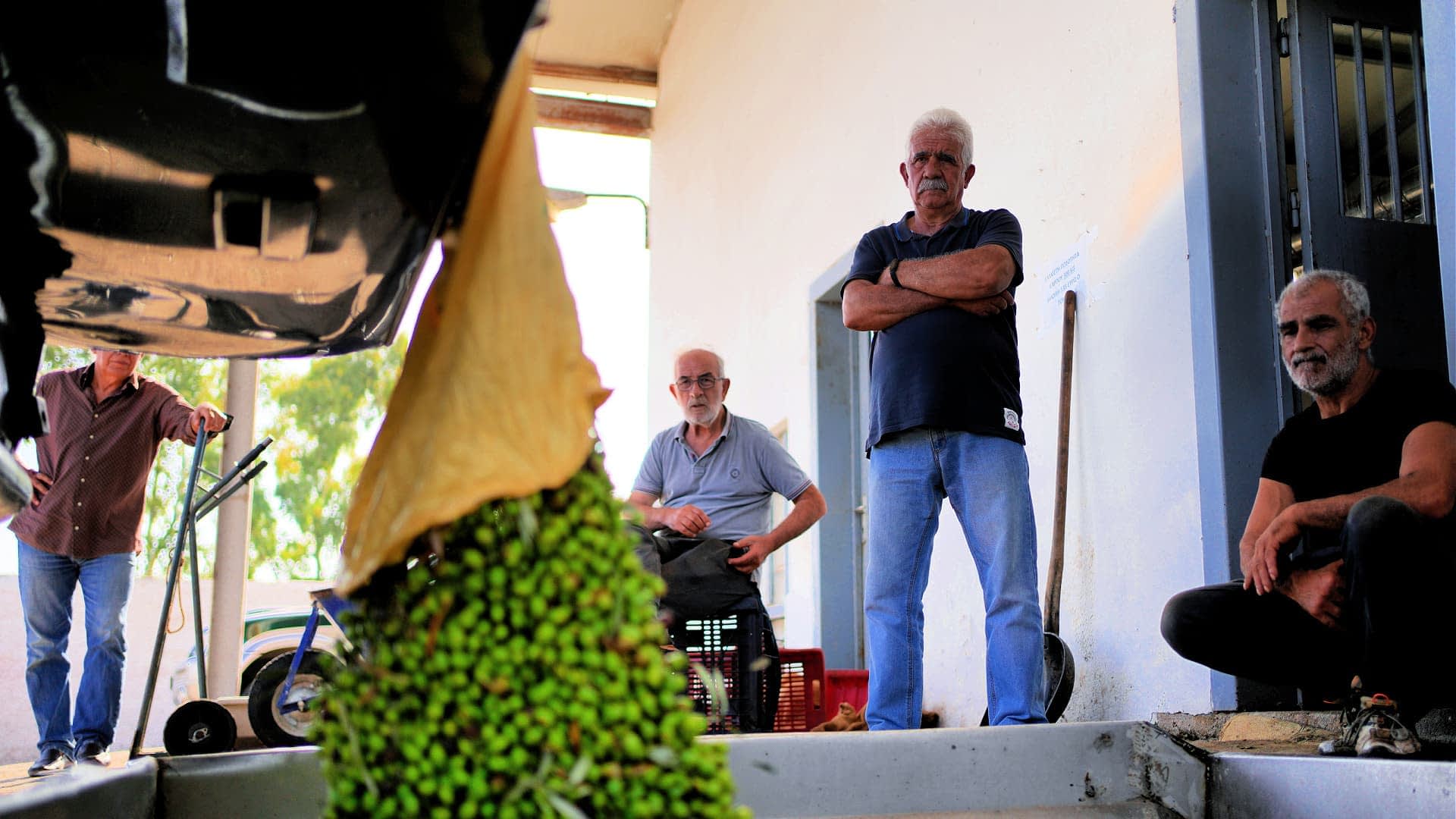 Vier Männer beobachten den Prozess der Olivengewinnung in einem Innenraum. - Olive Oil Times