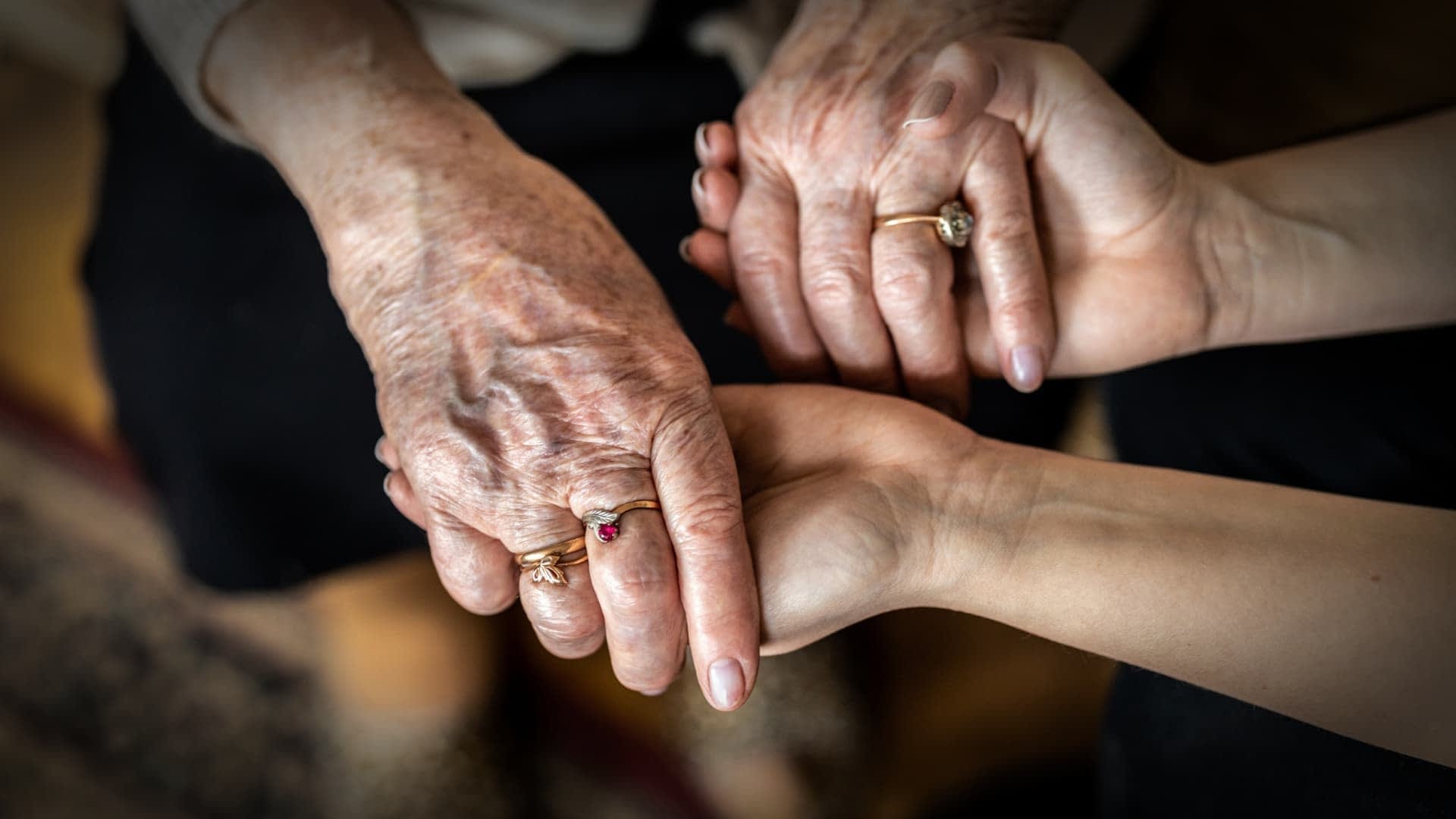 Las manos de una persona mayor sosteniendo la mano de una persona más joven, ambas adornadas con anillos. Olive Oil Times