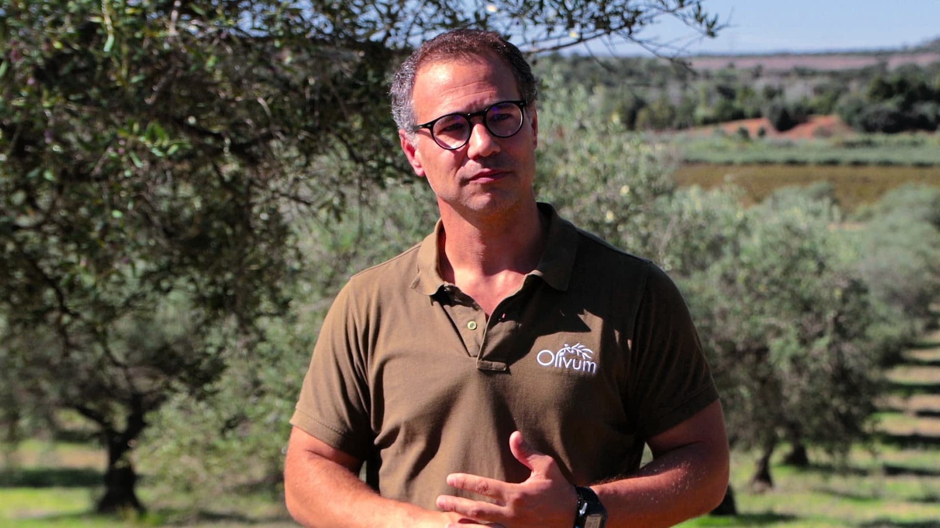 Portuguese Group Expands Sustainability Program After Alentejo Success