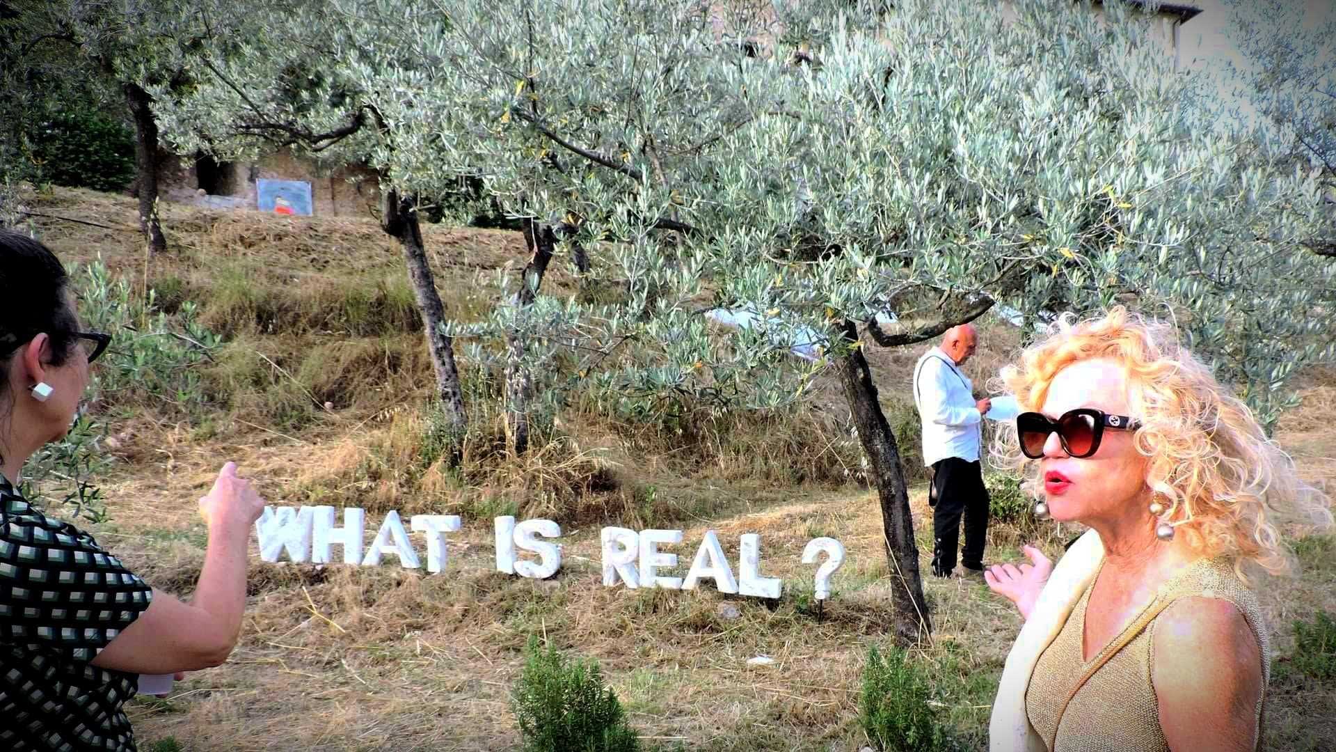 オリーブ畑を背景に「WHAT IS REAL?」というフレーズが描かれたアート インスタレーション。 - Olive Oil Times