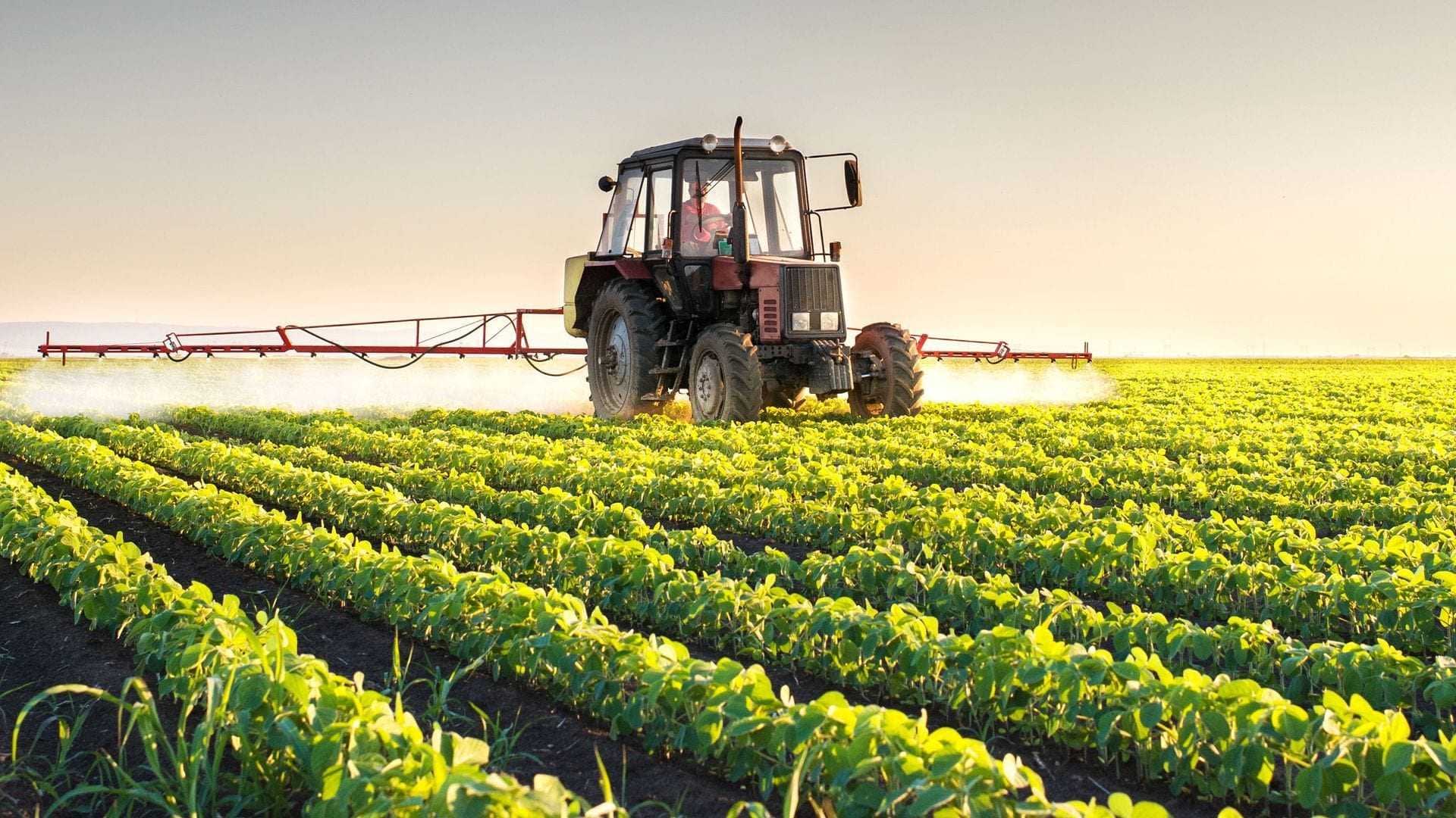 晴れた空の下、緑の植物が並ぶ畑でトラクターが農作物を散布しています。 - Olive Oil Times