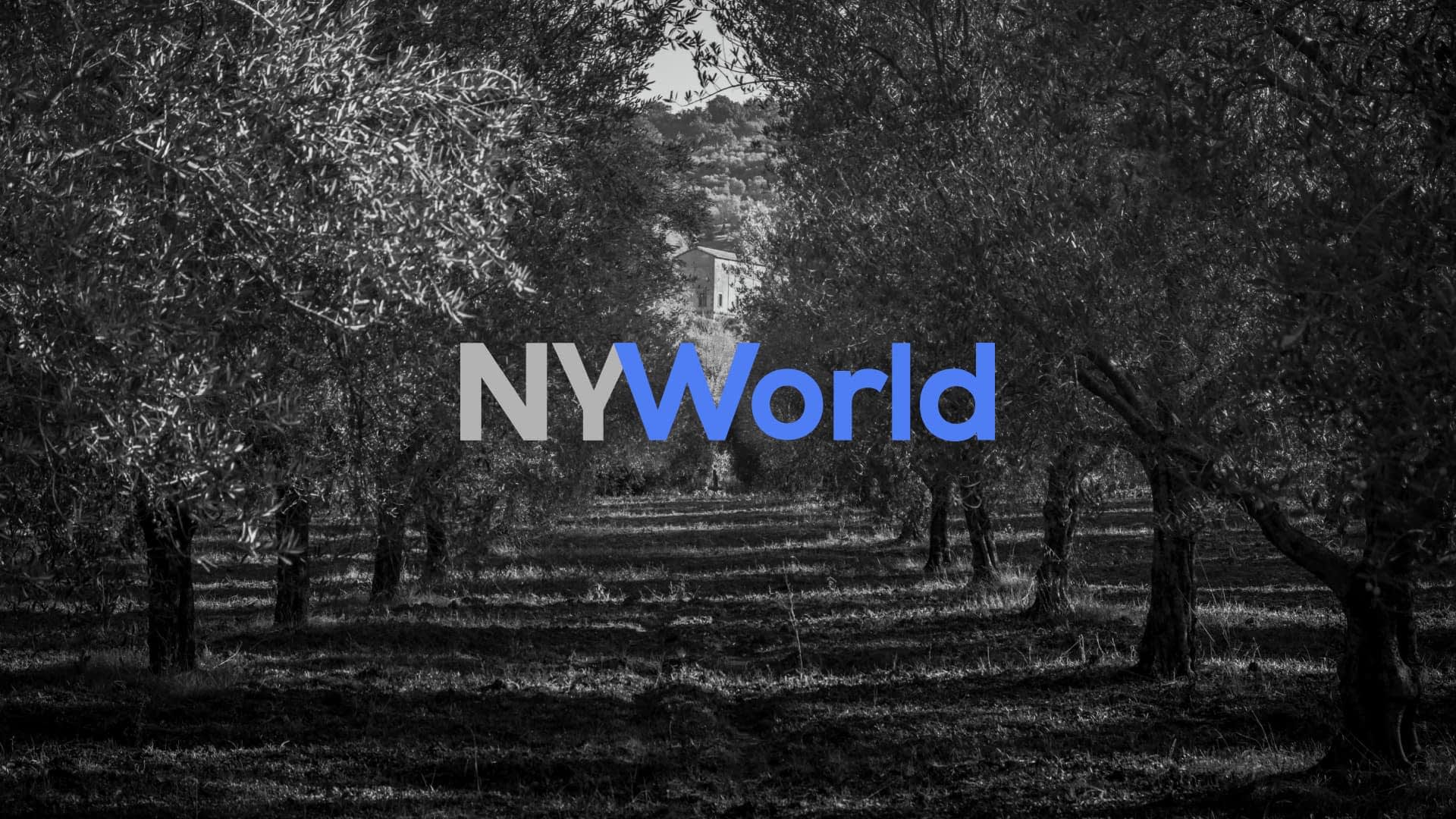 Schwarzweißbild eines Olivenhains mit dem in Blau und Grau darüber gelegten NYWorld-Logo. – Olive Oil Times