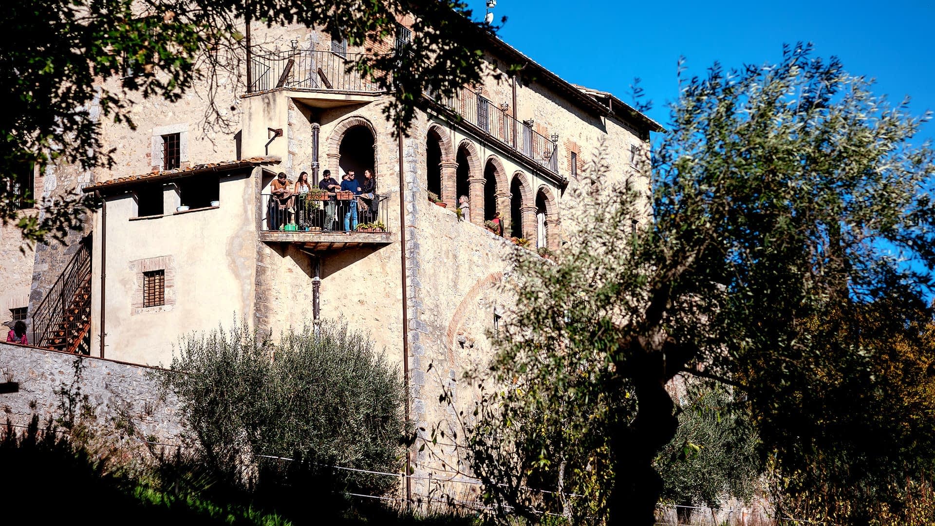 PDO and PGI Tourism Boosts Olive Oil Industry in Italy