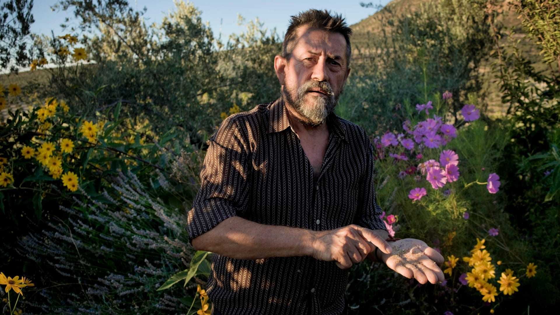 Man with a beard holding soil in his hand while standing among colorful flowers. - Olive Oil Times