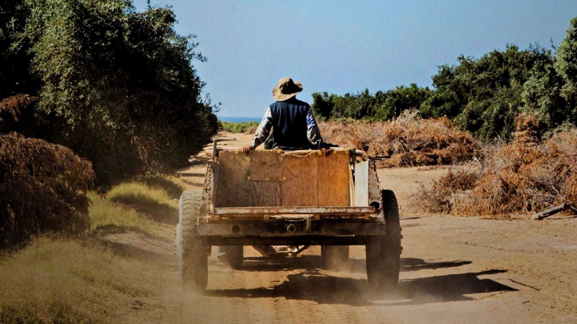 A farmer wearing a hat driving a wooden cart along a dirt path surrounded by vegetation. - Olive Oil Times