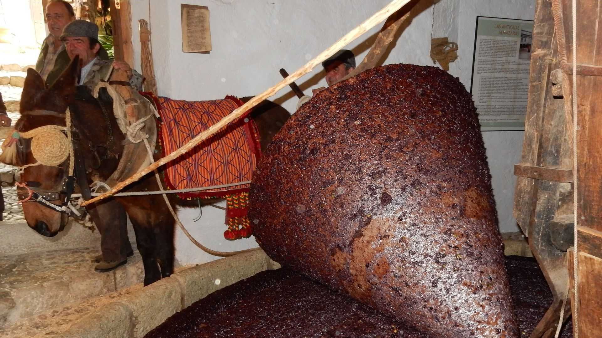 Large cone-shaped container filled with dark olive paste in a traditional olive oil production setting. - Olive Oil Times